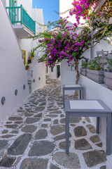 Fototapeta na wymiar Traditional Cycladitic alley with narrow street, whitewashed facade of stores, a tavern exterior and a blooming bougainvillea in Naousa Paros island, Greece.