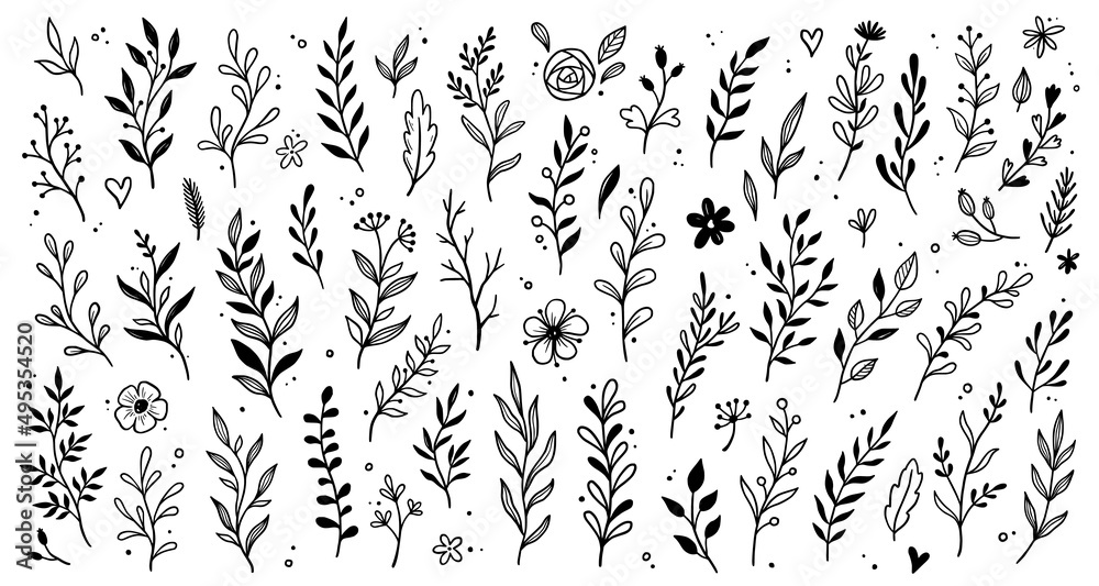 Aufkleber leaf branch wreath rustic set. hand drawn sketch doodle style leaf. flourish branch, laurel flower f