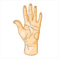 Obraz premium Human hand with lines on the palm. Divination by hand, palmistry.