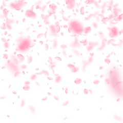 Fototapeta na wymiar Sakura petals falling down. Romantic pink flowers gradient. Flying petals on white square background. Love, romance concept. Beauteous wedding invitation.