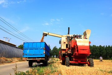 combine harvester working on a wheat field