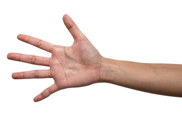 Woman hand show finger number five isolated on white background.