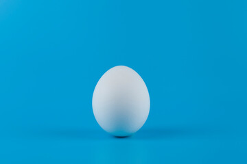White egg  on a blue background.