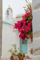 Fototapeta na wymiar Traditional Cycladitic alley with narrow street, whitewashed houses and a blooming bougainvillea flowers in parikia, Paros island, Greece. 