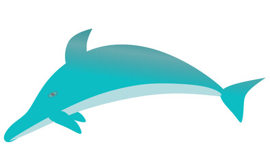 dolphin illustration