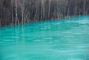 Turquoise waste waters from a copper mine polluting  the environment. Geamana decantation lake, Romania