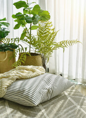Pillow and soft blanket in relaxing space, Comfort living room with warm and cozy natural light, Artificial plant, Indoor tropical houseplant for home interior and air purification.