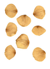 Naklejka premium Photo scan of a peony petals set. With visible texture and veining, macro