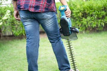 Gardener holding electric hedge trimmer to cut the treetop in garden.