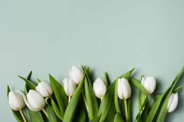 Obraz na płótnie Canvas Border of white tulips on a pale green background. Mockup for spring greeting card.
