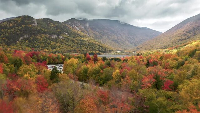 Colorful treetops with turning leaves with high mountains on background, 4K USA