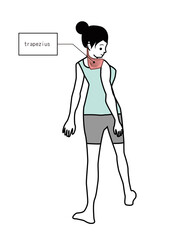僧帽筋。振り返る女性。