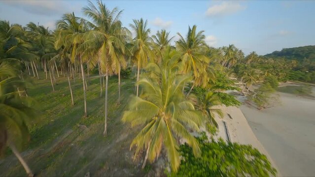 fpv drone ocean palm tree Asia Thailand Bali Goa beach 4k