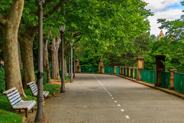 Tree lined alley in the Media Luna Park, Pamplona, Spain famous for bull running