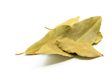 Fototapeta premium Close up a small pile of organic Bay leaves on white background, Close up dried Bay leaves in details line on its skin, selected focus.