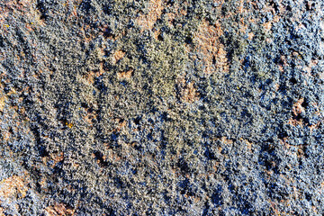 the surface of the stone is heavily overgrown with moss