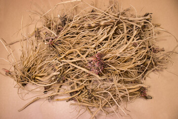 Achyranthes roots, medicinal plants, healthy food, medicinal herbs.