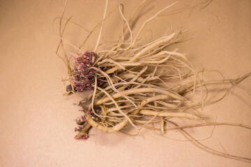 Achyranthes roots, medicinal plants, healthy food, medicinal herbs.