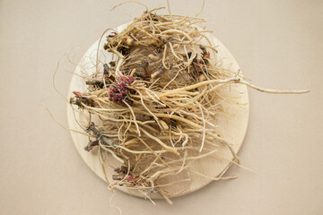 Achyranthes roots, medicinal plants, healthy food, medicinal herbs.
