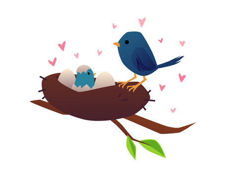 Mother bird in nest with chick and eggs flat vector illustration isolated.
