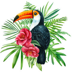 Toucan and flowers on isolated white background, tropical bird, watercolor illustration