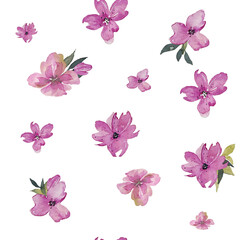 Watercolor design elements of a collection of botanical elements, leaves, branches, flowers, botanical illustration isolated in the background