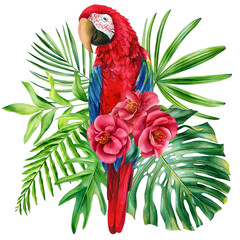 Macaw parrot and flowers on isolated white background, Poster with tropical bird watercolor illustration hand drawing