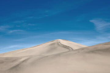 Fototapeta na wymiar Desert landscape. Sand dunes against blue sky.