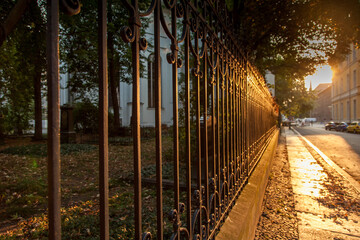 Sunset on the fence 