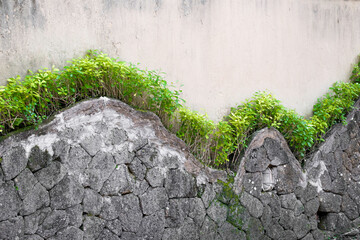 Stone wall with plant outline design of hill tops background texture