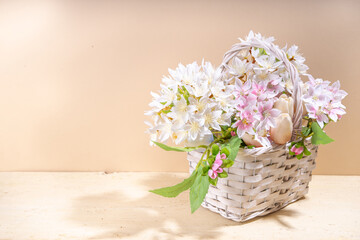 Spring flowers basket on light beige warm colored background. Spring holiday, mother day greeting card background, copy space