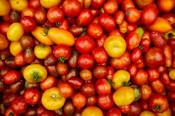 Different kinds of homegrown tomatoes, Assortment of tomatoes,  local farmers market, Fresh vegetables, Fresh harvest of  Red, yellow and orange tomato. Top view. .