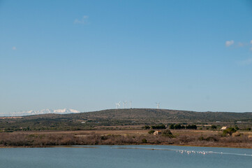 landscape with river