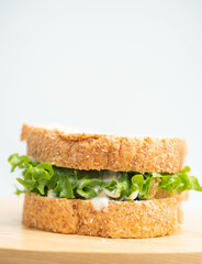 Tasty and fresh sandwiches with vegetable and tuna.fresh breakfast gourmet toast.sandwich whole wheat in restaurant. fast food, bread, bakery menu, tasty breakfast, lunch meals.vegetarian meals.