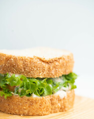 Tasty and fresh sandwiches with vegetable and tuna.fresh breakfast gourmet toast.sandwich whole wheat in restaurant. fast food, bread, bakery menu, tasty breakfast, lunch meals.vegetarian meals.