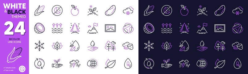 Tree, Bad weather and Water care line icons for website, printing. Collection of Brazil nut, Photo, Leaves icons. No alcohol, Potato, Evaporation web elements. Snow weather, Christmas treeCorn. Vector