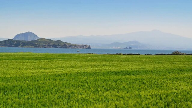 가파도 청보리밭과  제주도의 한라산, 송악산, 산방산 풍경