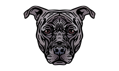 American Pit Bull Terrier dog logo pet portrait