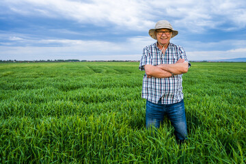 Naklejka na ściany i meble Satisfied senior farmer is standing in his barley field.