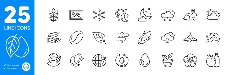 Outline icons set. Night weather, Sleep and Mineral oil icons. Apple, Windy weather, Slow fashion web elements. Coffee beans, Environment day, Refill water signs. Photo, Corn, Leaf dew. Vector