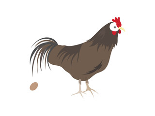 横向きの卵を産んだ茶色のめんどり