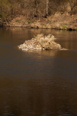 Still life of pebbles in the middle of the river, close-up. Pebbles have formed a mini island in the middle of the river. Everything is yellow brown giving an impression of a serene calm still life.