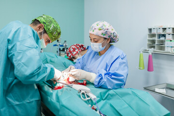 Surgeon with healthcare workers performing surgery on dog at clinic