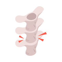 Neurology Spine Isometric Composition