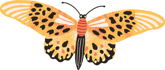 Tropical Butterfly Colored Illustration © Good Studio