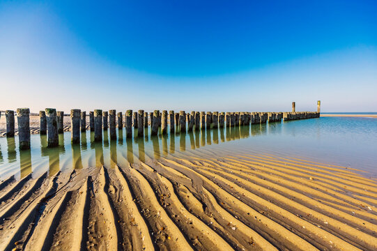 Netherlands, Zeeland, Groyne on sandy coastal beach of Walcheren peninsula