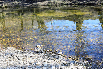 Floodplain forest is a bottomland, deciduous or deciduous-conifer forest community occupying...
