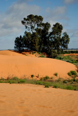 sand dunes in the desert