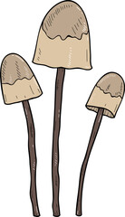 Forest Mushroom Hand Drawn Contour Illustration