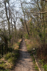 Chemin balade Fosse aux carpes